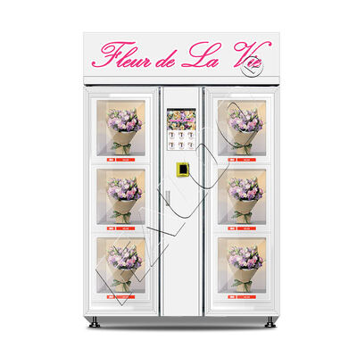 Haloo Vending Machine ProveedorGrandota grande 6 casillero Vending Machine 10.1 pulgadas pantalla táctil elegir flores en la máquina