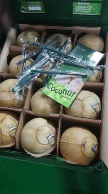 Máquina expendedora de la fruta fresca del OEM combinada con la red del armario 4G